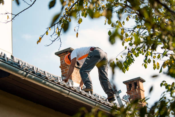 Best Gutter Installation and Repair  in St Henry, OH