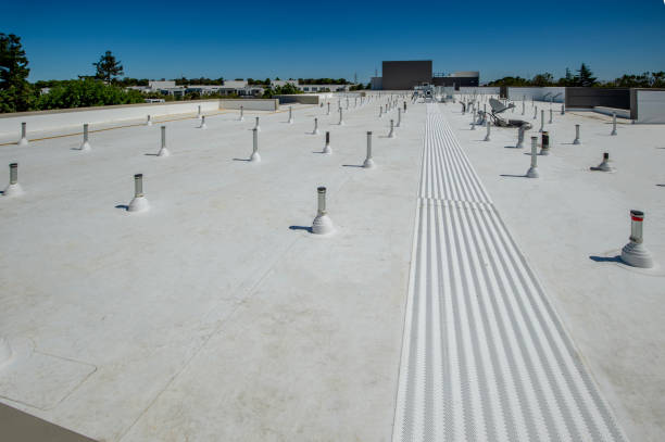 Best Storm Damage Roof Repair  in St Henry, OH